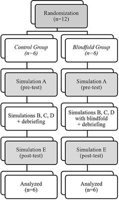 Effects of Blindfold on Leadership in Pediatric Resuscitation Simulation: A Randomized Trial